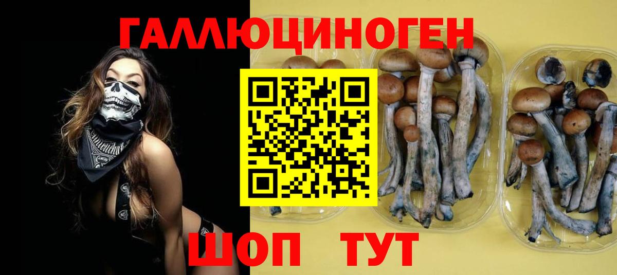Галлюциногенные грибы Psilocybe  Вход с VPN  Мирный 